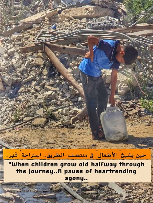 وثائقي ميداني غزة